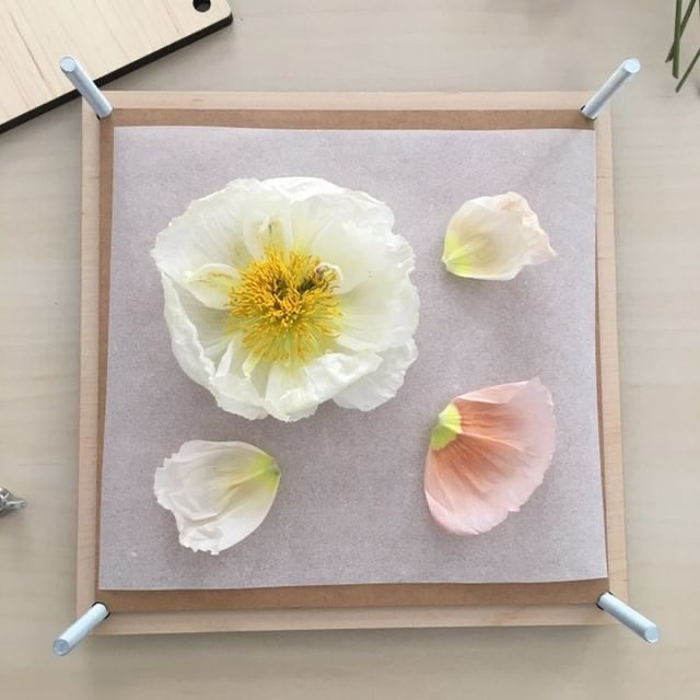 Branded Flower Press